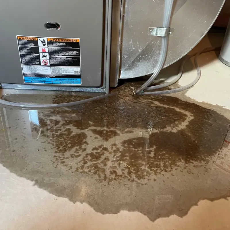 Appliance Leak Cleanup in Keokea, HI
