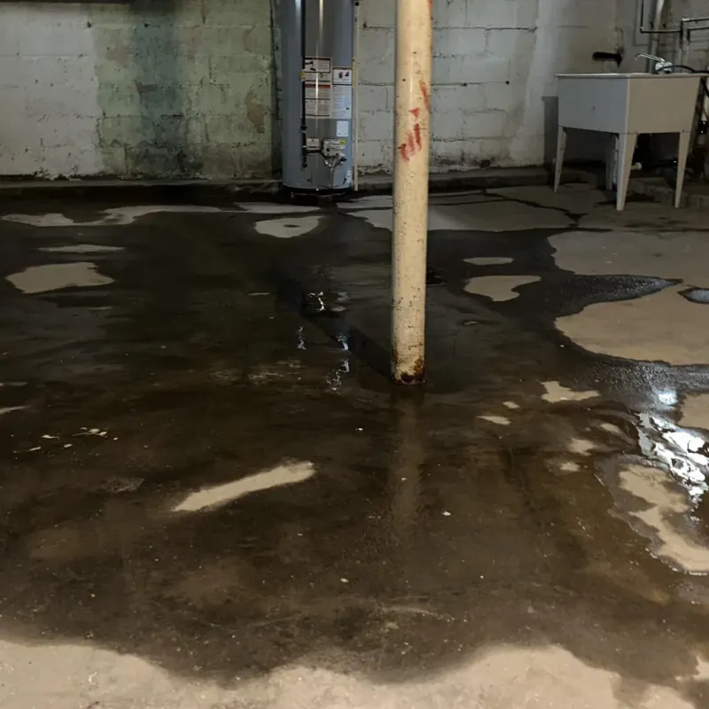 Emergency Water Extraction And Removal in Keokea, HI